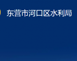 東營市河口區(qū)水利局