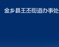 金鄉(xiāng)縣王丕街道辦事處