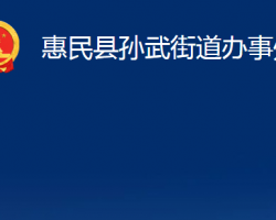 惠民縣孫武街道辦事處