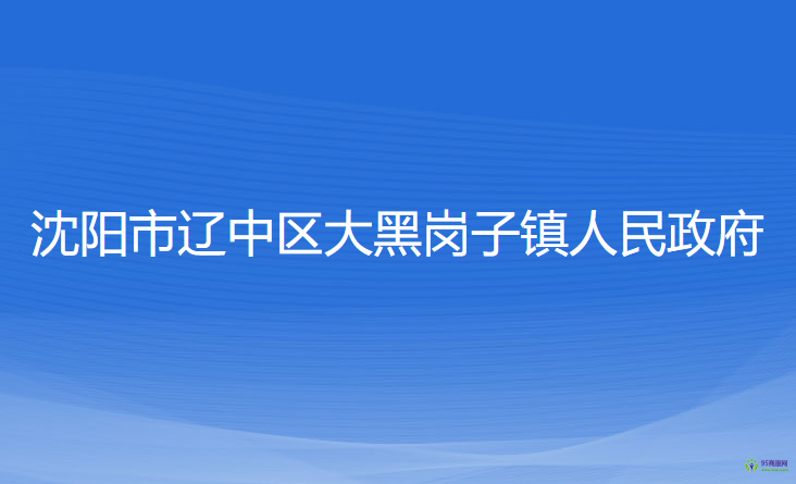 沈陽市遼中區(qū)大黑崗子鎮(zhèn)人民政府