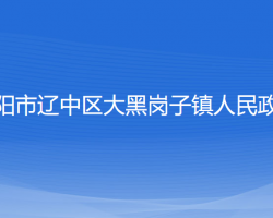 沈陽市遼中區(qū)大黑崗子鎮(zhèn)人民政府