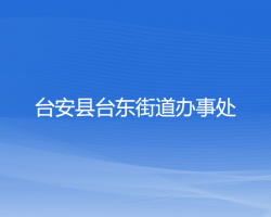 臺安縣臺東街道辦事處