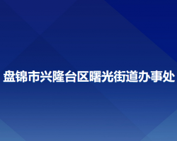 盤錦市興隆臺區(qū)曙光街道辦事處