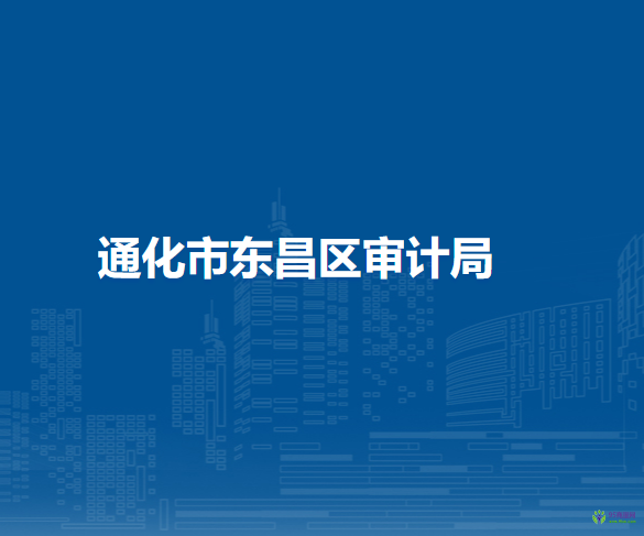 通化市東昌區(qū)審計(jì)局