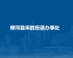 柳河縣采勝街道辦事處網(wǎng)上辦事大廳