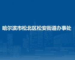 哈爾濱市松北區(qū)松安街道辦事處