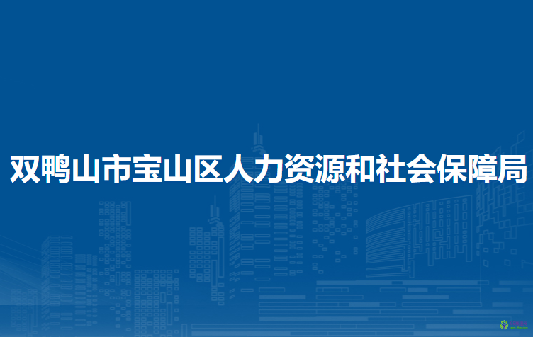 雙鴨山市寶山區(qū)人力資源和社會(huì)保障局