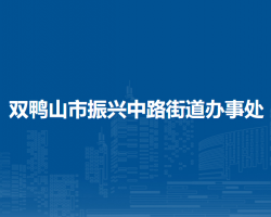 雙鴨山市四方臺(tái)區(qū)振興中路街道辦事處