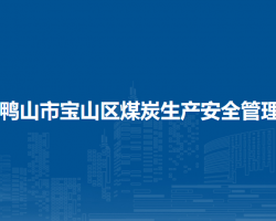 雙鴨山市寶山區(qū)煤炭生產安全管理局