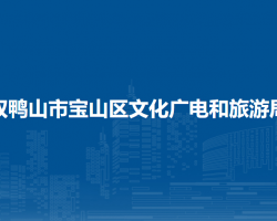 雙鴨山市寶山區(qū)文化廣電和