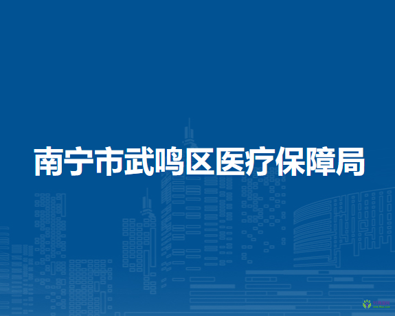 南寧市武鳴區(qū)醫(yī)療保障局