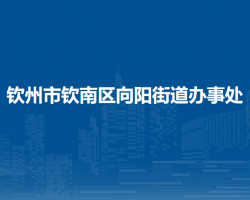 欽州市欽南區(qū)向陽街道辦事處