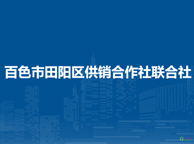 百色市田陽區(qū)供銷合作社聯(lián)合社