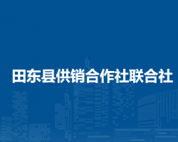 田東縣供銷合作社聯合社